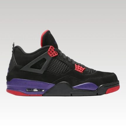 Air Jordan 4 Raptors - Drip Slum