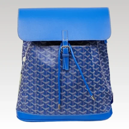 Goyard Alpin MM Backpack Blue Bag GYD016 - Drip Slum
