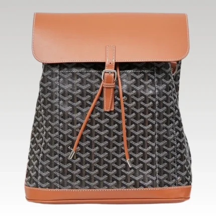 Goyard Alpin MM Backpack Brown Bag GYD009 - Drip Slum