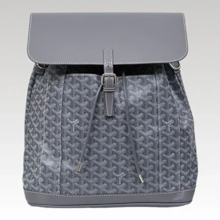 Goyard Alpin MM Backpack Gray Bag GYD014 - Drip Slum