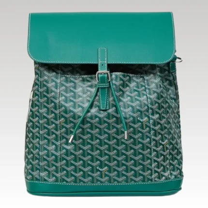 Goyard Alpin MM Backpack Green Bag GYD008 - Drip Slum
