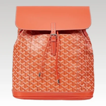 Goyard Alpin MM Backpack Orange Bag GYD013 - Drip Slum