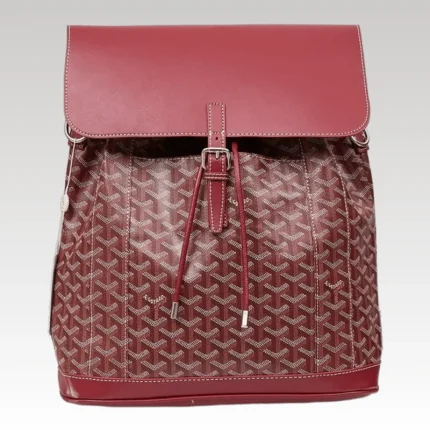 Goyard Alpin MM Backpack Red Bag GYD012 - Drip Slum