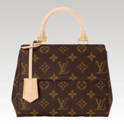 Handbag Louis Vuitton Cluny Mini Monogram LVW013 - Drip Slum